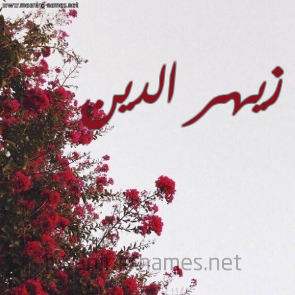 شكل 18 صوره الورد الأحمر للإسم بخط رقعة صورة اسم زيهر الدين Zahr-Aldine